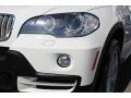 Alpine White - X5 4.8i Photo No. 31