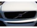 Ice White - XC90 2.5T AWD Photo No. 38