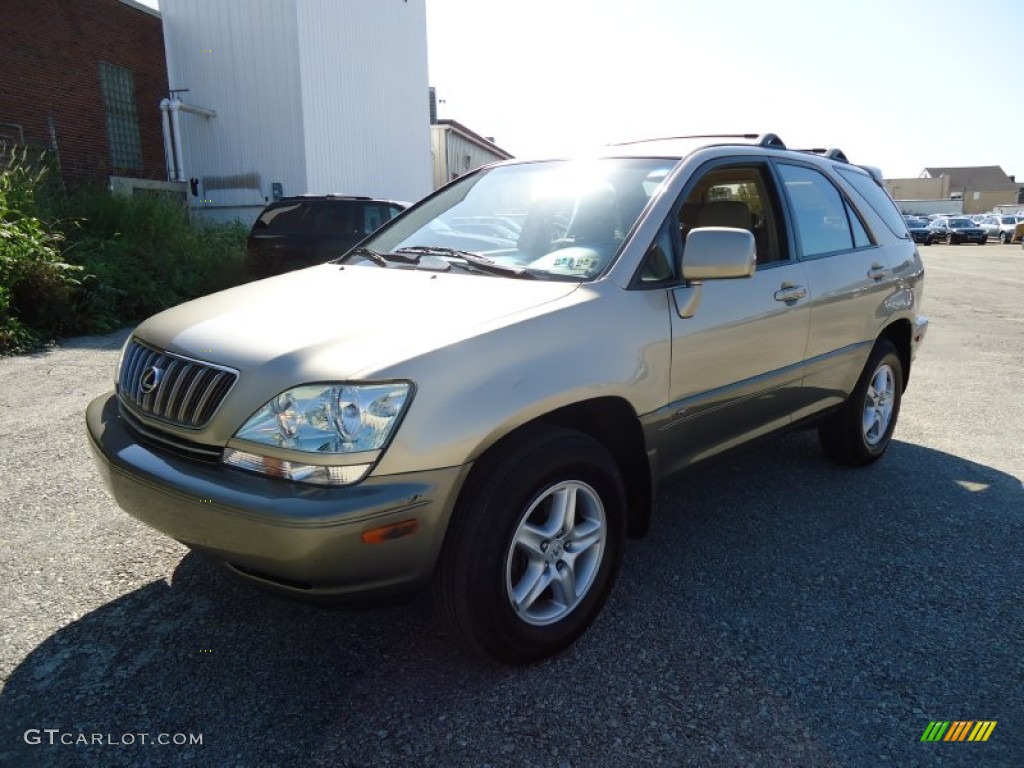 Burnished Gold Metallic Lexus RX