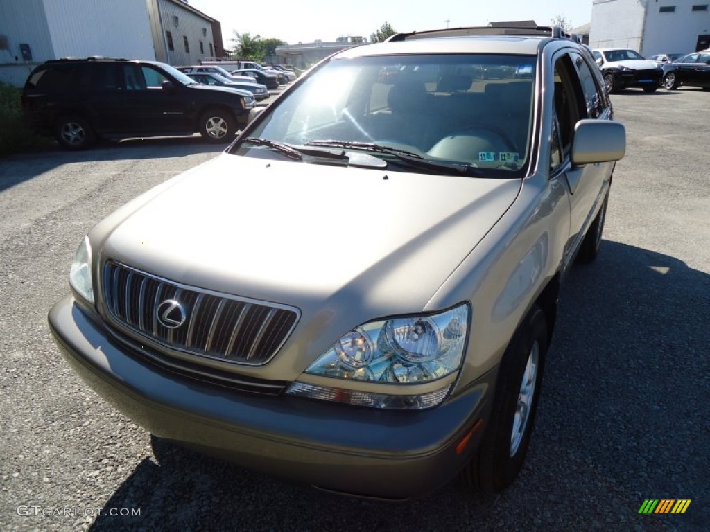 2003 RX 300 AWD - Burnished Gold Metallic / Ivory photo #2