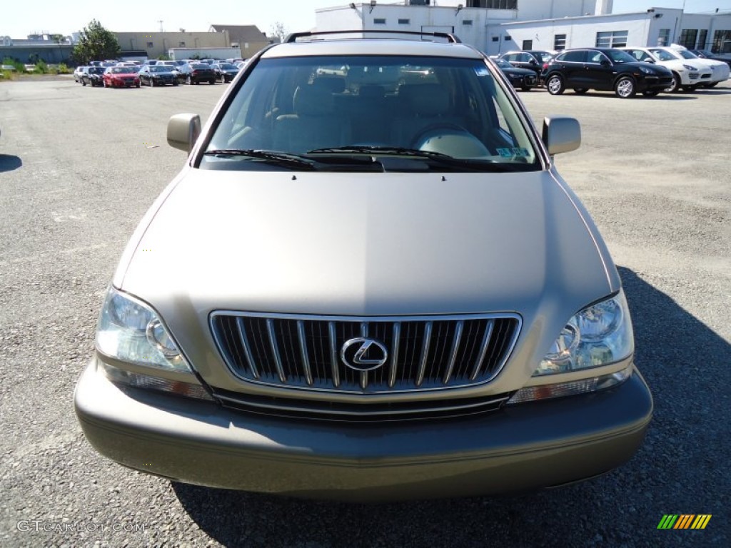 2003 RX 300 AWD - Burnished Gold Metallic / Ivory photo #3