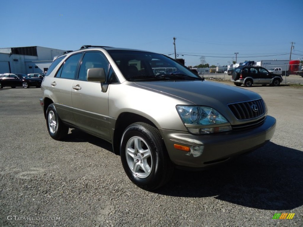 2003 RX 300 AWD - Burnished Gold Metallic / Ivory photo #5