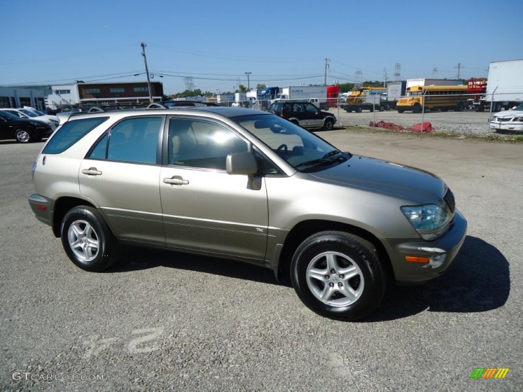 2003 RX 300 AWD - Burnished Gold Metallic / Ivory photo #6
