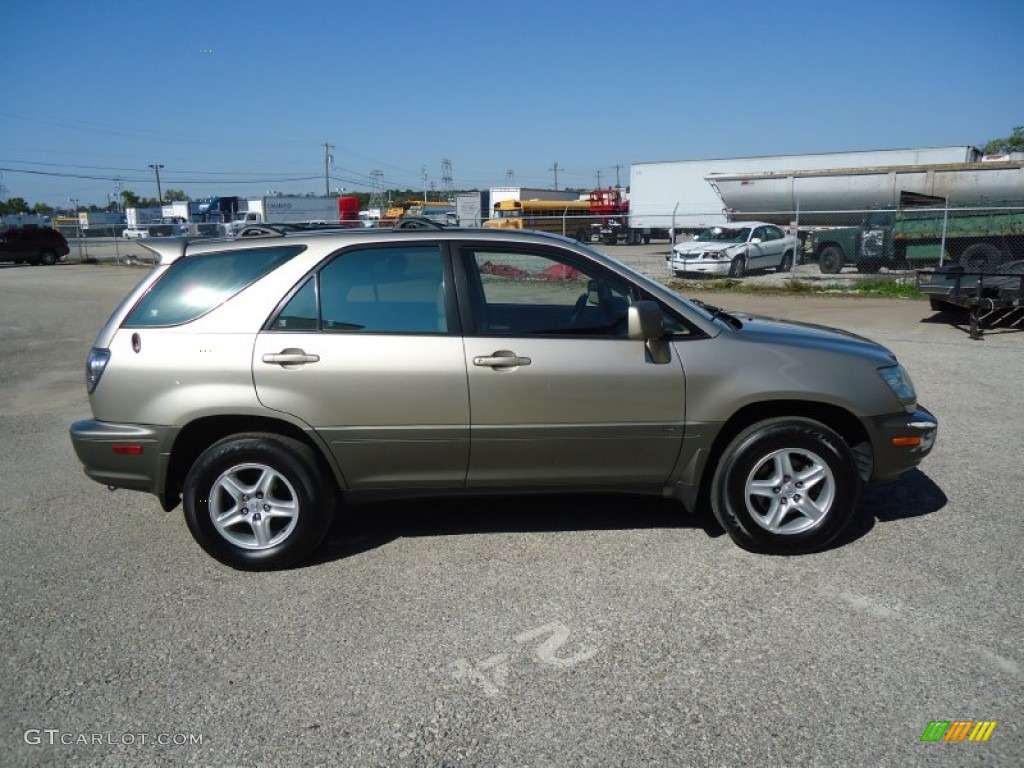 2003 RX 300 AWD - Burnished Gold Metallic / Ivory photo #7