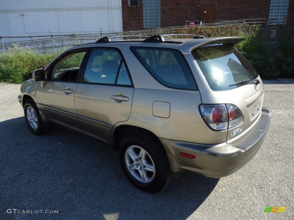 2003 RX 300 AWD - Burnished Gold Metallic / Ivory photo #10
