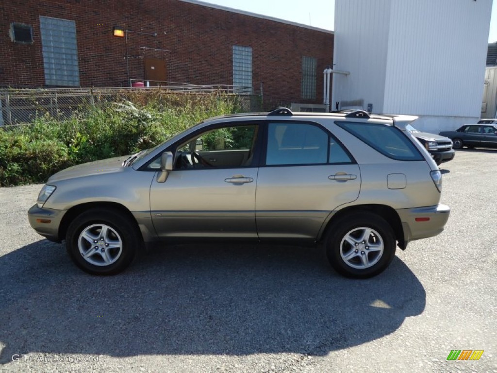 2003 RX 300 AWD - Burnished Gold Metallic / Ivory photo #11