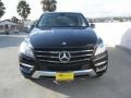 Black - ML 350 4Matic Photo No. 2