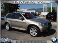 Platinum Bronze Metallic - X5 3.0si Photo No. 1