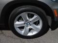 Platinum Bronze Metallic - X5 3.0si Photo No. 2