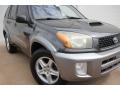 Graphite Gray Pearl - RAV4  Photo No. 12