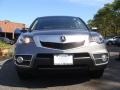 Polished Metal Metallic - RDX  Photo No. 2