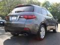 Polished Metal Metallic - RDX  Photo No. 4