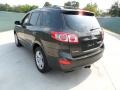 2010 Black Forest Green Metallic Hyundai Santa Fe Limited  photo #5