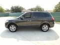 2010 Black Forest Green Metallic Hyundai Santa Fe Limited  photo #6