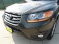 2010 Black Forest Green Metallic Hyundai Santa Fe Limited  photo #12