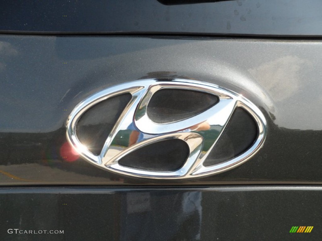 2010 Hyundai Santa Fe Limited Marks and Logos Photo #55106271
