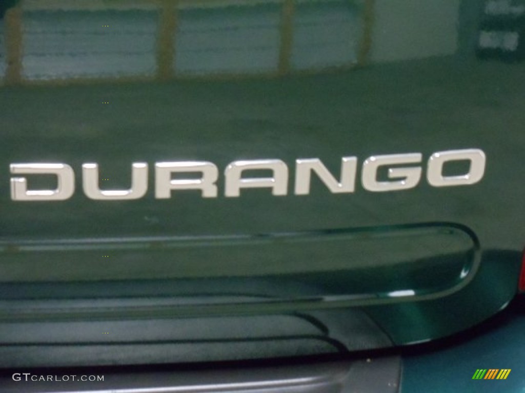2002 Durango SLT Plus 4x4 - Forest Green Pearl / Sandstone photo #28