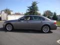 2008 Sterling Grey Metallic BMW 7 Series 750Li Sedan  photo #6