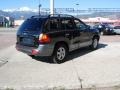 Black Obsidian - Santa Fe LX 4WD Photo No. 3