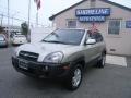 2007 Desert Sage Metallic Hyundai Tucson SE 4WD  photo #1