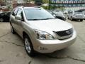 Savannah Metallic - RX 350 AWD Photo No. 7