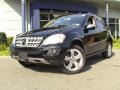 Black - ML 350 4Matic Photo No. 1