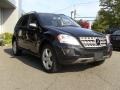 Black - ML 350 4Matic Photo No. 4