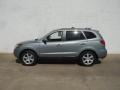 2008 Platinum Sage Hyundai Santa Fe SE  photo #1