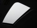 Carbon Gray Pearl - RDX  Photo No. 14
