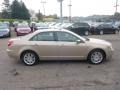 2006 Dune Pearl Metallic Lincoln Zephyr   photo #5