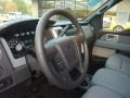 Steel Gray Steering Wheel Photo for 2011 Ford F150 #55127865