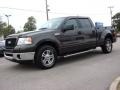 2006 Dark Stone Metallic Ford F150 XLT SuperCrew  photo #2