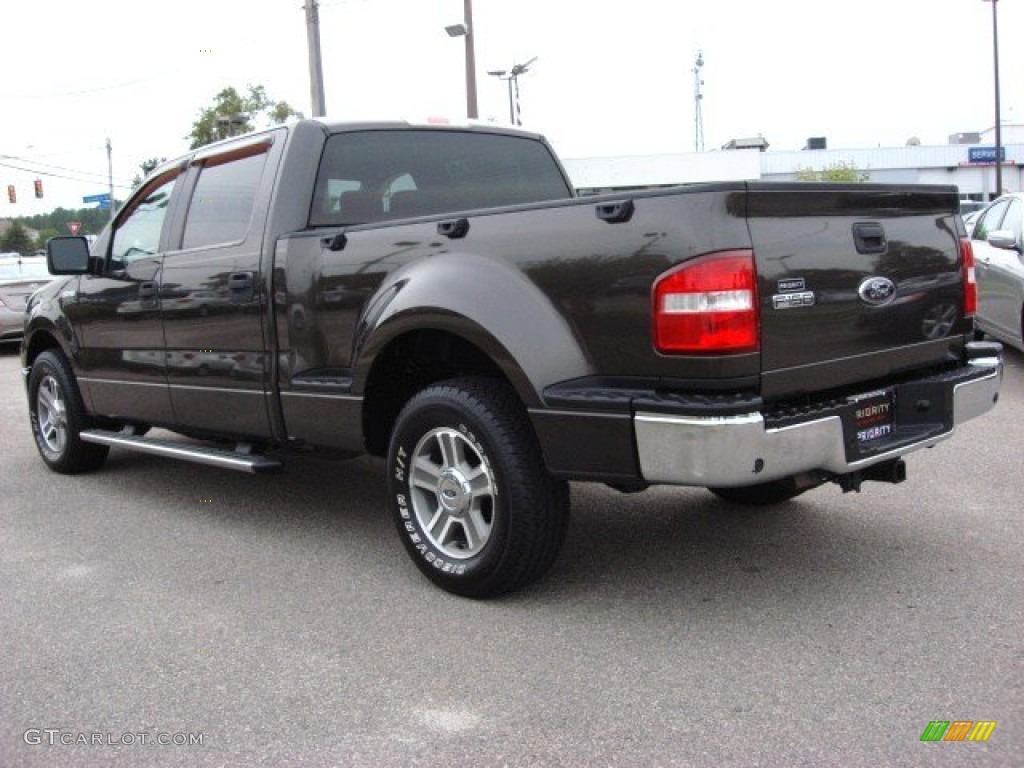 2006 F150 XLT SuperCrew - Dark Stone Metallic / Medium/Dark Flint photo #3