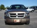 Austin Tan Pearl - Dakota Big Horn Crew Cab Photo No. 8