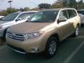 Sandy Beach Metallic - Highlander SE 4WD Photo No. 2