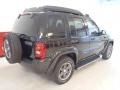 Black Clearcoat - Liberty Renegade Photo No. 5