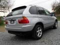 Titanium Silver Metallic - X5 3.0i Photo No. 4
