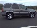 Dark Shadow Gray Metallic - Tribute ES V6 4WD Photo No. 17