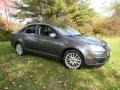 Platinum Gray Metallic 2009 Volkswagen Jetta Wolfsburg Edition Sedan Exterior