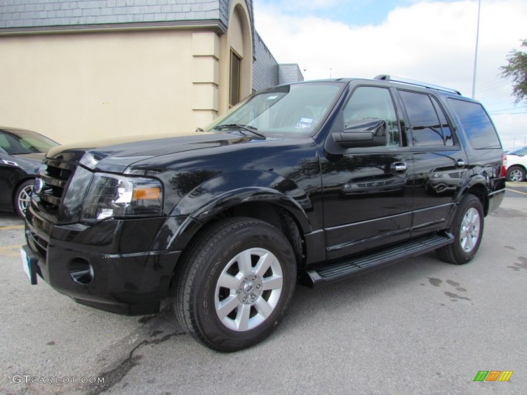 2010 Expedition Limited - Tuxedo Black / Stone photo #7