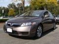 2010 Urban Titanium Metallic Honda Civic EX-L Sedan  photo #4