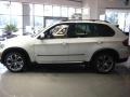 Alpine White - X5 xDrive50i Photo No. 2