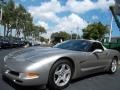 1999 Light Pewter Metallic Chevrolet Corvette Convertible  photo #13