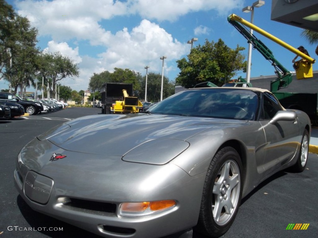 1999 Corvette Convertible - Light Pewter Metallic / Light Oak photo #14