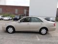 Desert Sand Mica - Camry LE Photo No. 11