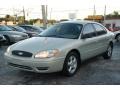 2004 Gold Ash Metallic Ford Taurus SE Sedan  photo #5