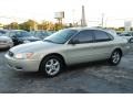 2004 Gold Ash Metallic Ford Taurus SE Sedan  photo #12