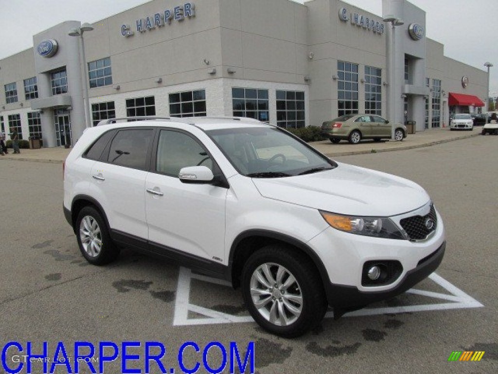 Snow White Pearl Kia Sorento