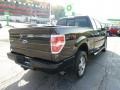 2010 Tuxedo Black Ford F150 STX SuperCab 4x4  photo #5