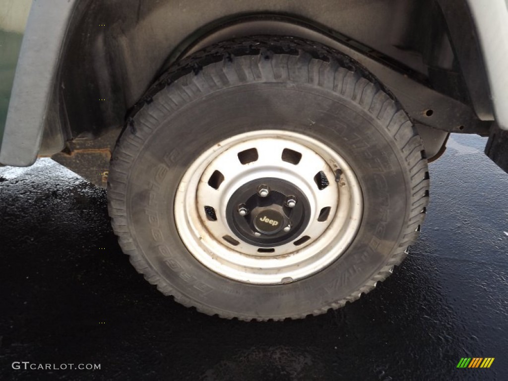 2000 Wrangler SE 4x4 - Forest Green Pearl / Agate photo #13